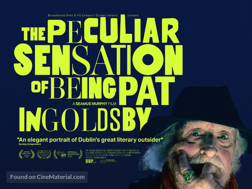 The Peculiar Sensation of Being Pat Ingoldsby - Irish Movie Poster