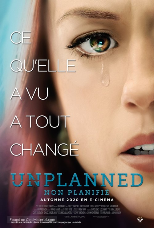 Unplanned - French Movie Poster