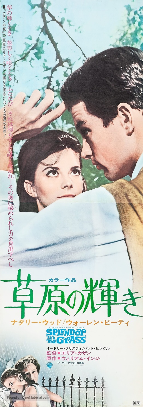 Splendor in the Grass - Japanese Movie Poster