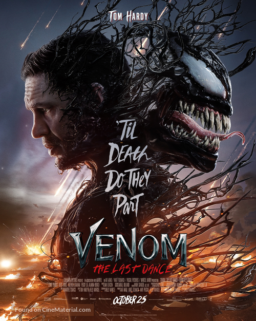 Venom: The Last Dance - Pakistani Movie Poster