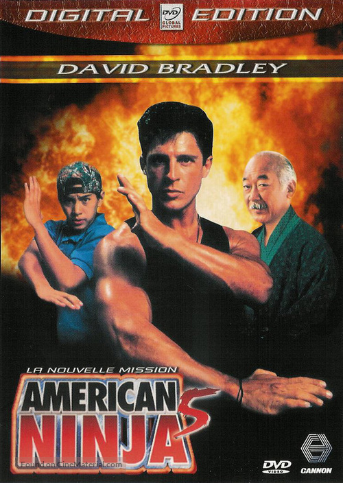 American Ninja V - French DVD movie cover