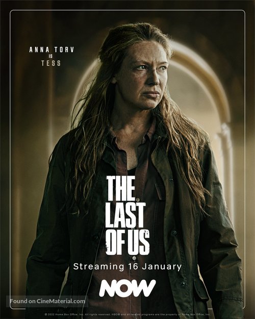 &quot;The Last of Us&quot; - Irish Movie Poster