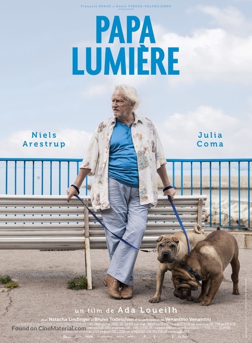Papa lumi&egrave;re - French Movie Poster