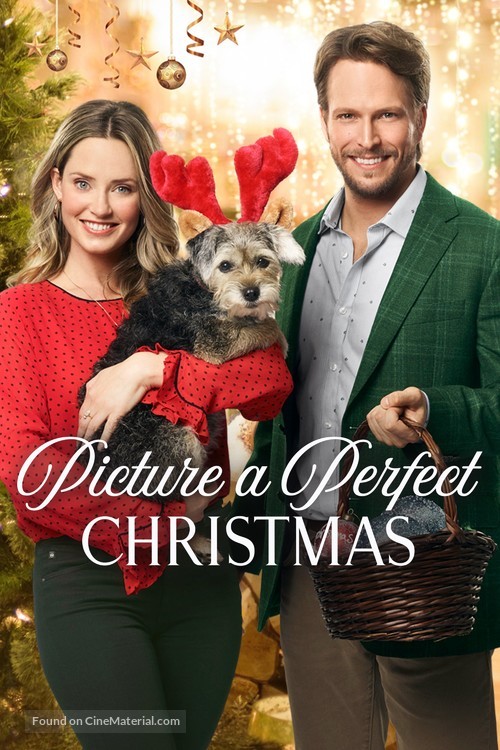 Picture a Perfect Christmas - Movie Poster