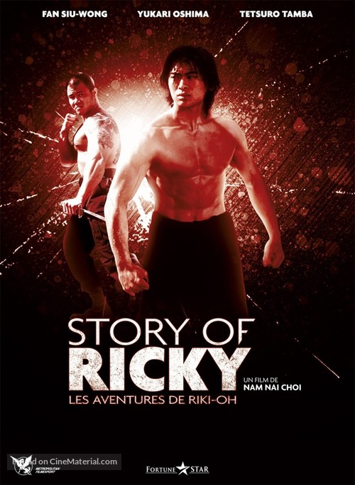 The Story Of Ricky - French DVD movie cover