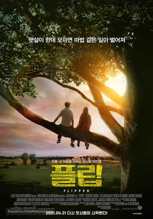 Flipped - South Korean Re-release movie poster