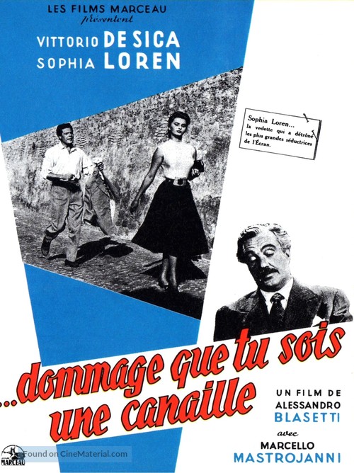 Peccato che sia una canaglia - French Movie Poster