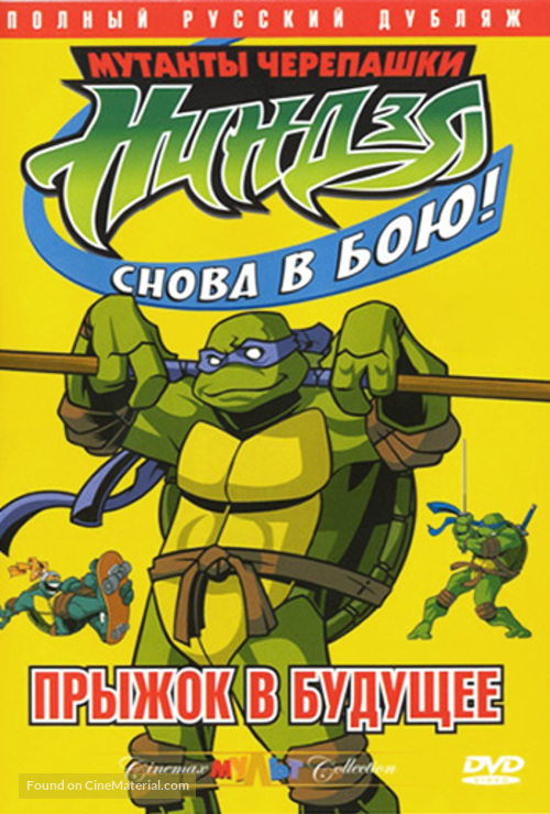 &quot;Teenage Mutant Ninja Turtles&quot; - Russian DVD movie cover