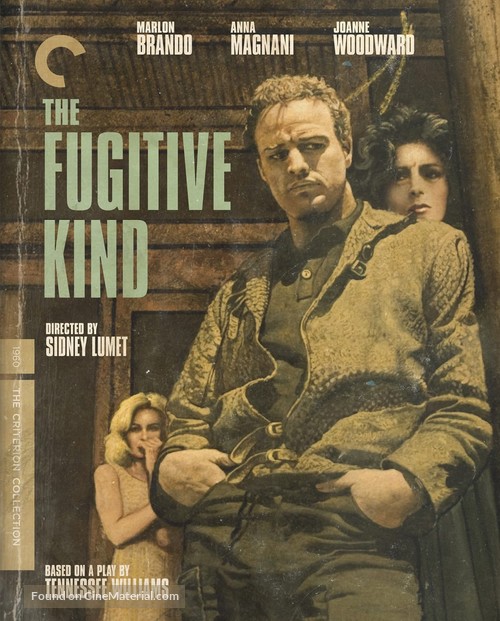 The Fugitive Kind - Blu-Ray movie cover