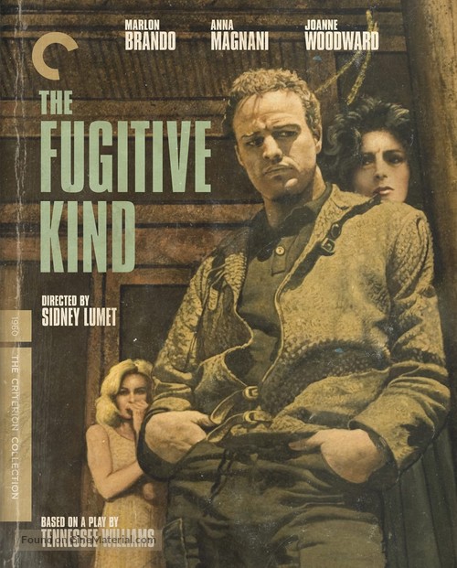 The Fugitive Kind - Blu-Ray movie cover