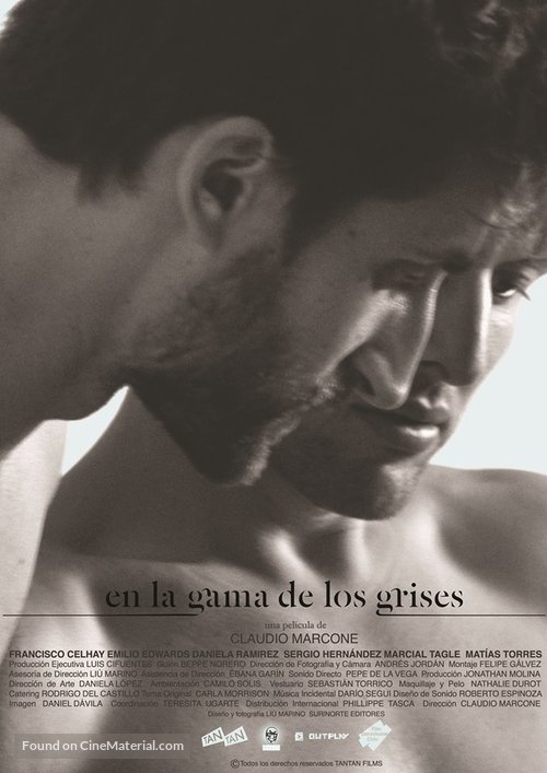 En la gama de los grises - Chilean Movie Poster