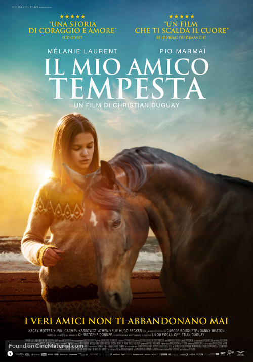 Temp&ecirc;te - Italian Movie Poster