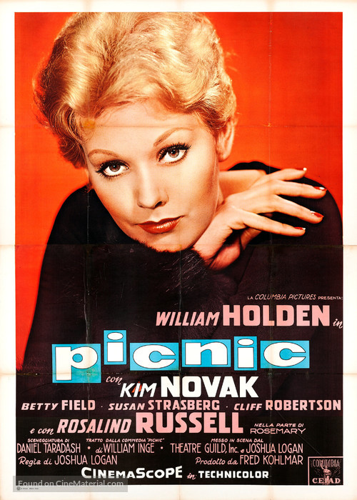 Picnic - Italian Movie Poster
