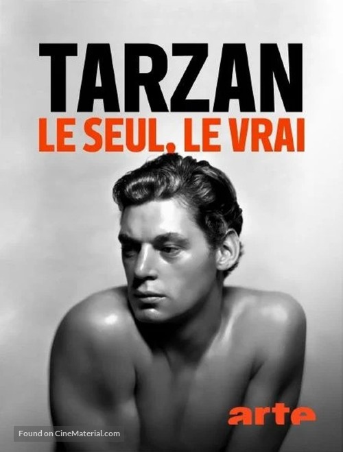 The One, the Only, the Real Tarzan - French Video on demand movie cover