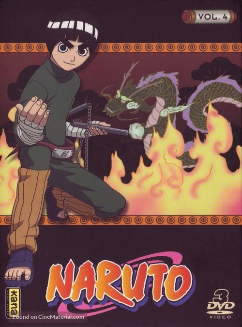 &quot;Naruto&quot; - French DVD movie cover