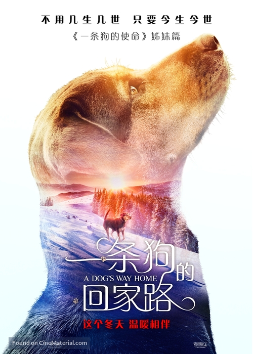 A Dog&#039;s Way Home - Chinese Movie Poster