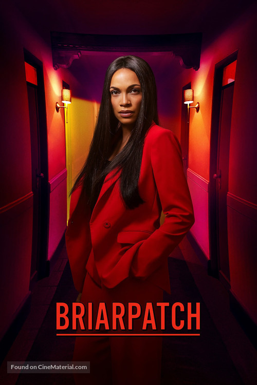 &quot;Briarpatch&quot; - Video on demand movie cover