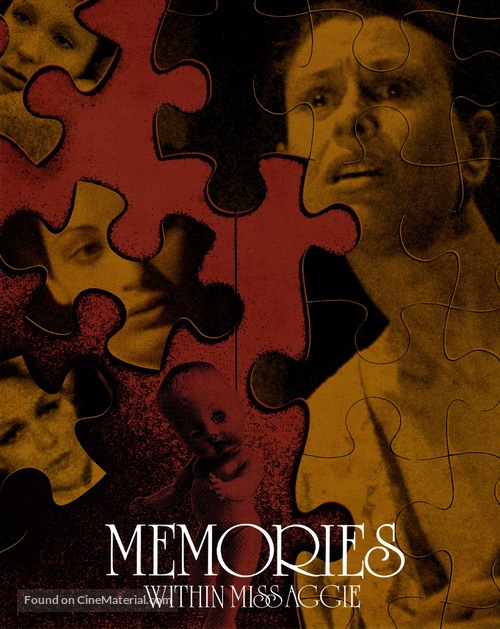 Memories Within Miss Aggie - DVD movie cover