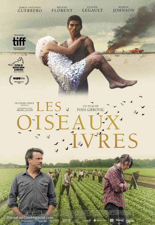 Les oiseaux ivres - Canadian Movie Poster