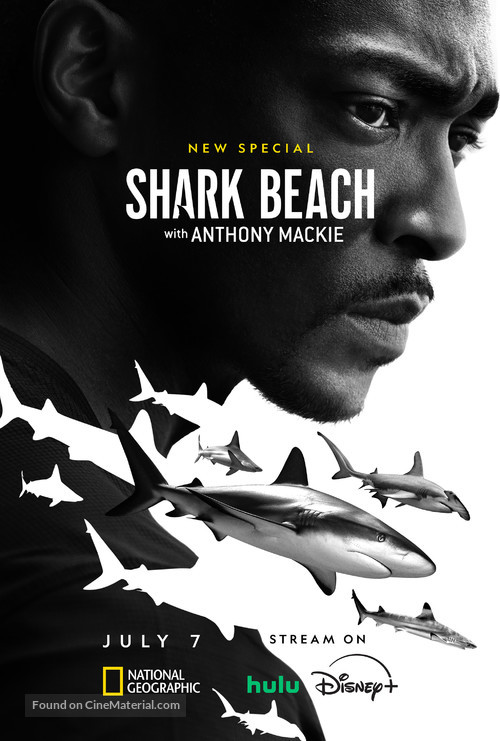 Shark Beach with Anthony Mackie - Movie Poster