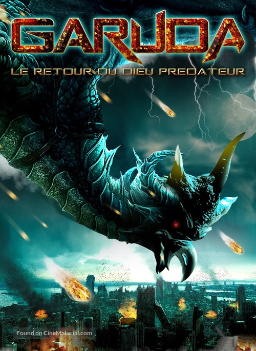 Paksa wayu - French DVD movie cover