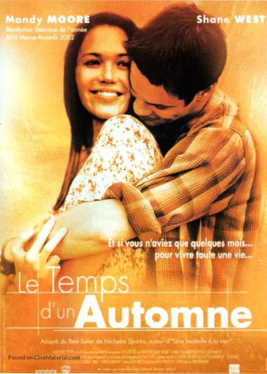 A Walk To Remember 2002 French Movie Poster