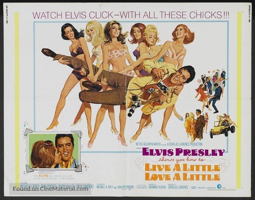 Live a Little, Love a Little - Movie Poster