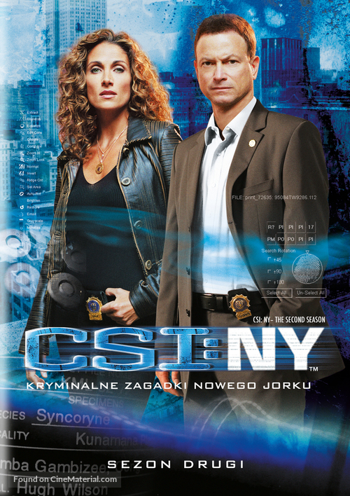 &quot;CSI: NY&quot; - Polish DVD movie cover