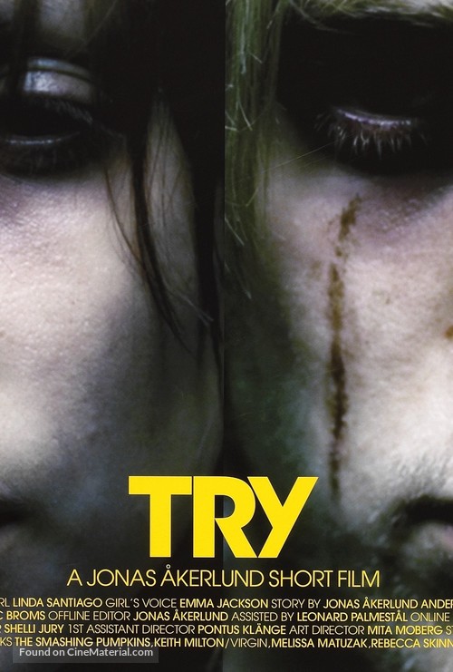 Try - Swedish Movie Poster