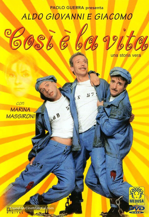 Cos&igrave; &egrave; la vita - Italian DVD movie cover