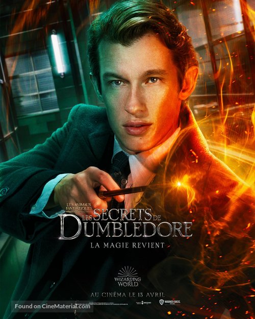 Fantastic Beasts: The Secrets of Dumbledore - French Movie Poster