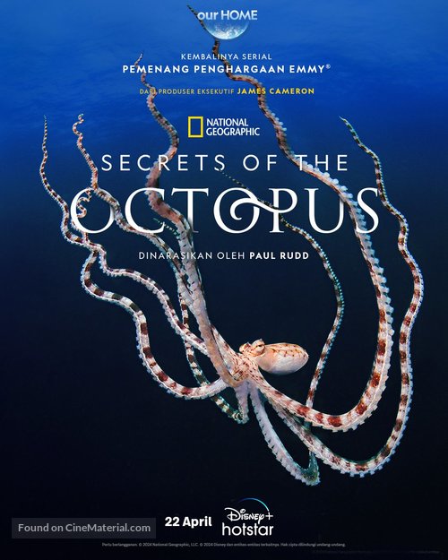 Secrets of the Octopus - Indonesian Movie Poster