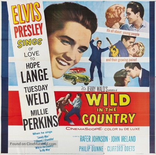 Wild in the Country - Movie Poster