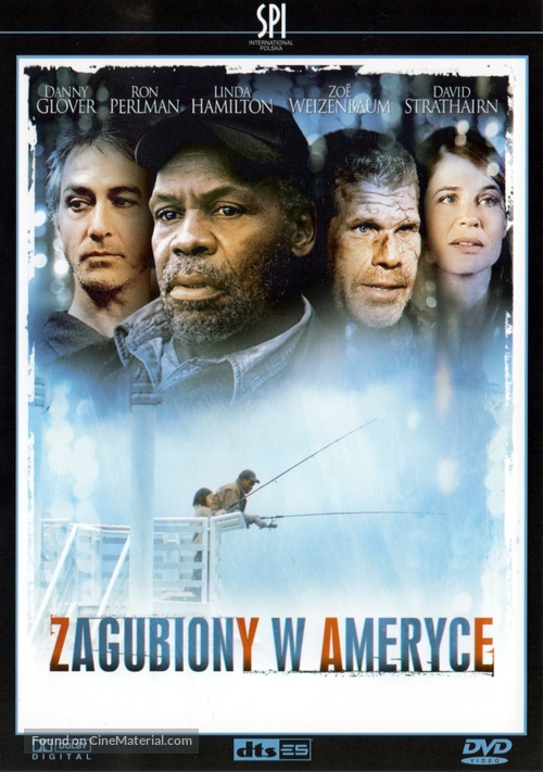 Missing in America - Polish DVD movie cover