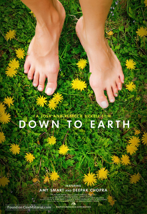 The Earthing Movie - Movie Poster