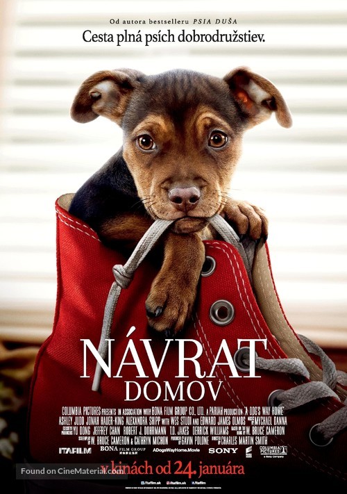 A Dog&#039;s Way Home - Slovak Movie Poster