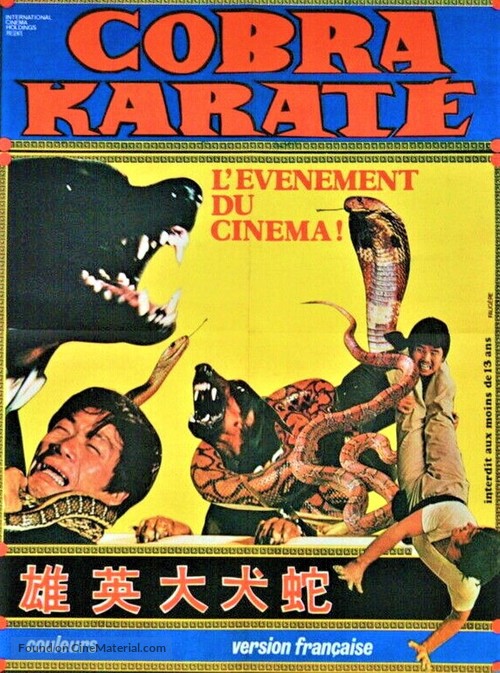 She quan da ying xiong - French Movie Poster