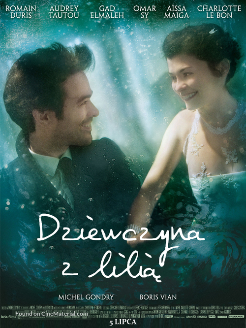 L&#039;&eacute;cume des jours - Polish Movie Poster