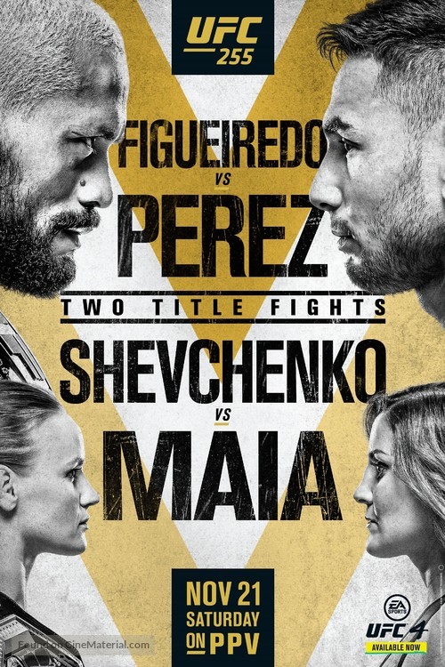 UFC 255 Figueiredo vs Perez - Movie Poster