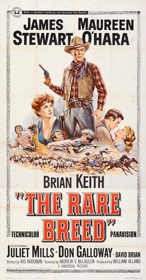 The Rare Breed - Movie Poster