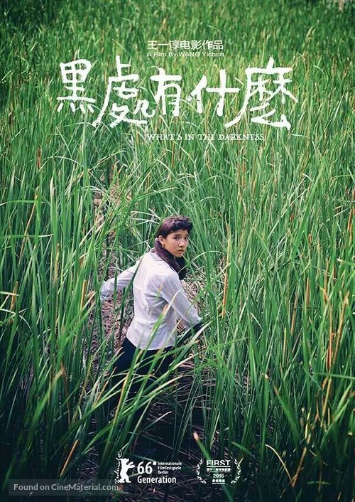 Hei chu you shen me - Chinese Movie Poster