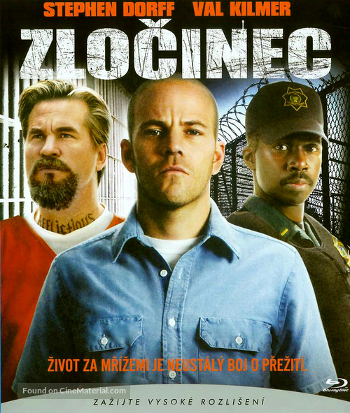 Felon - Czech DVD movie cover