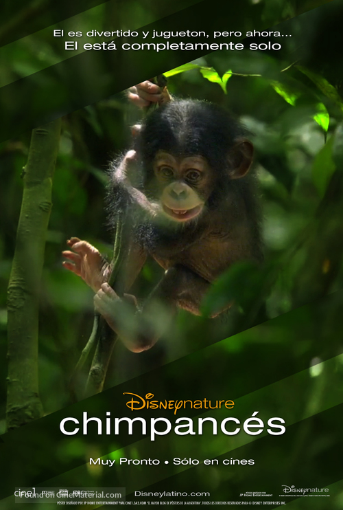 Chimpanzee - Argentinian Movie Poster
