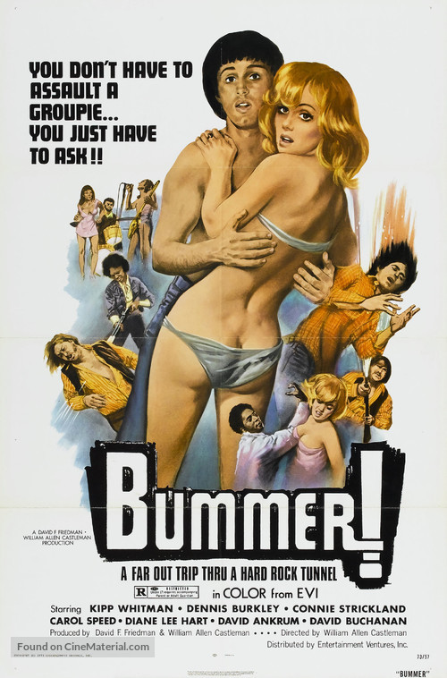 Bummer - Movie Poster