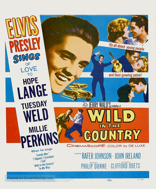 Wild in the Country - Movie Poster