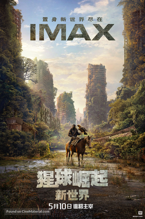 Kingdom of the Planet of the Apes - Chinese Movie Poster