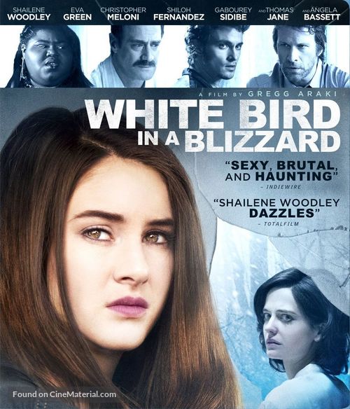 White Bird in a Blizzard - Blu-Ray movie cover