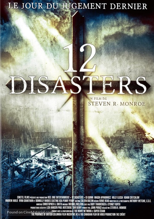 The 12 Disasters of Christmas - French DVD movie cover