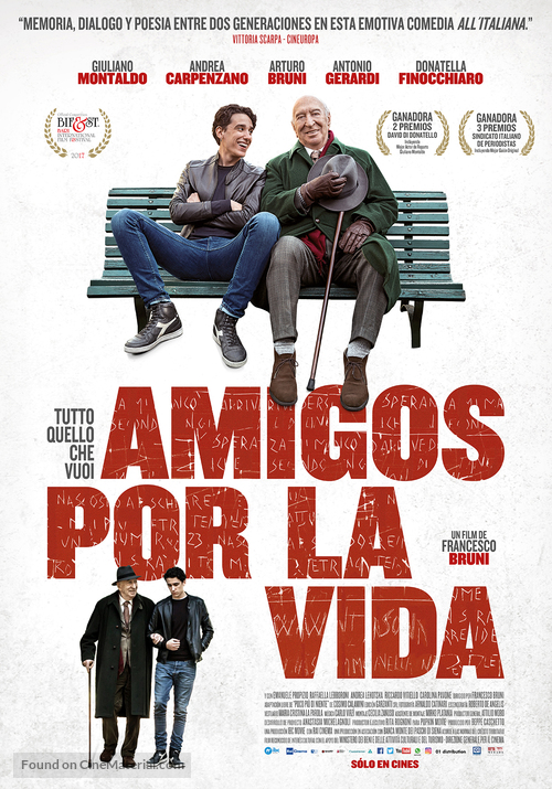 Tutto quello che vuoi - Argentinian Movie Poster