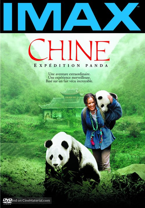 China: The Panda Adventure - French poster